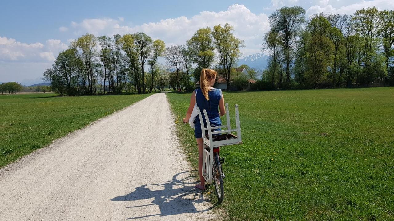 Haus Blumenfeld-Schwaiger Leilighet Übersee Eksteriør bilde